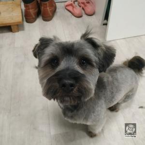 Rufi